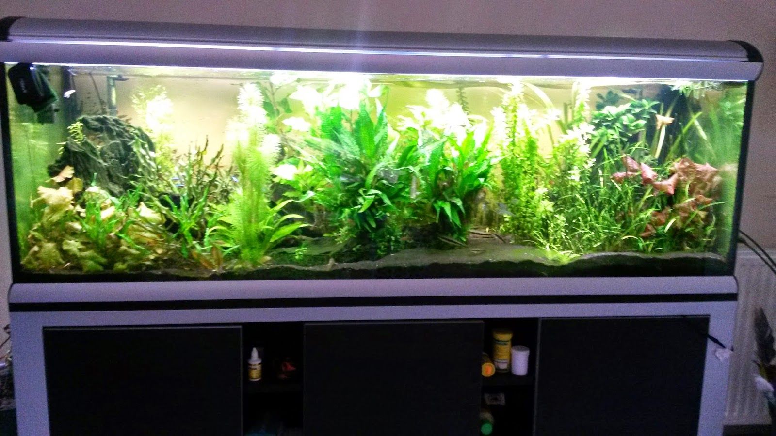 Aquarium avec led Éclairage de la cuisine